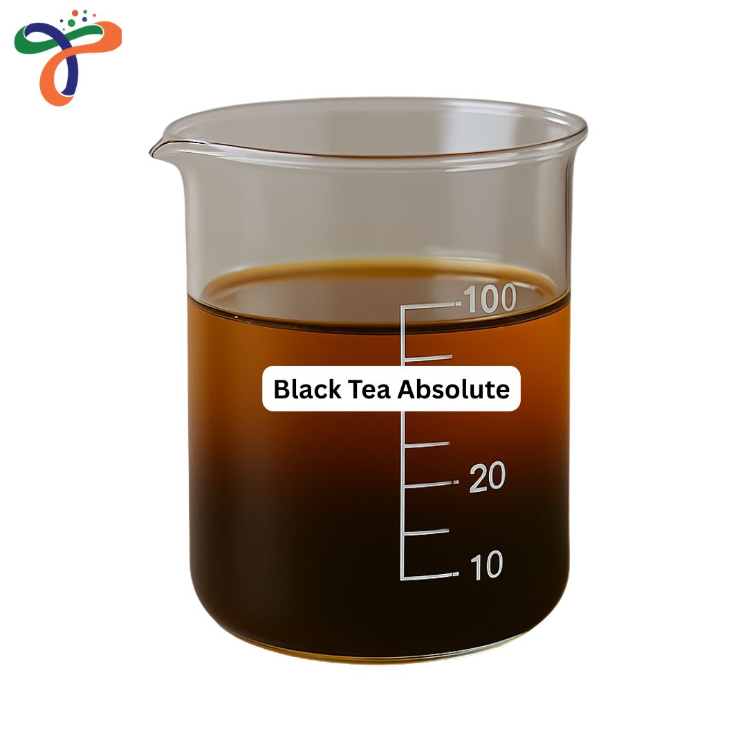 Black Tea Absolute
